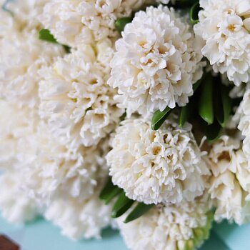 Букет "Гиацинты в мяте" Букет "Гиацинты в мяте"